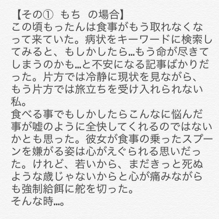 440d8b90 ddd7 4dcf 9283 7d457dc7f8c4 1645992405442
