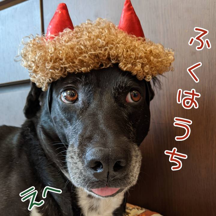 440dd273 95a4 4f84 84b6 61af70a9bc45 1706938047773