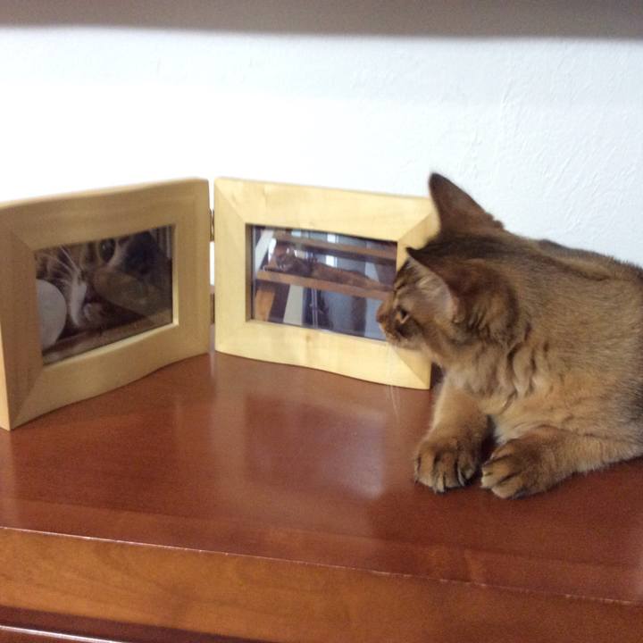 440dd2a8 69e9 48ee 9106 e36bc679d3f5 1574292914664