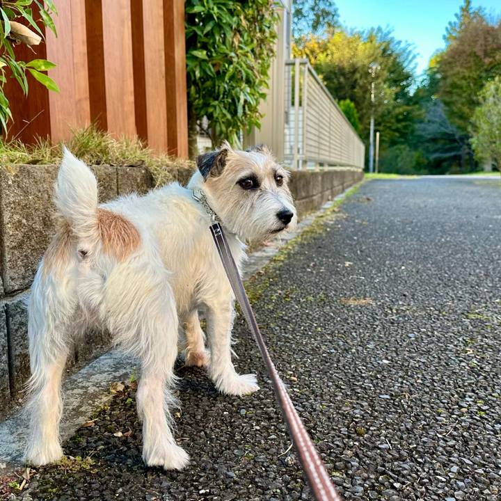 440dec83 6624 496a b582 13a1bbc4ac9b 1732374701158