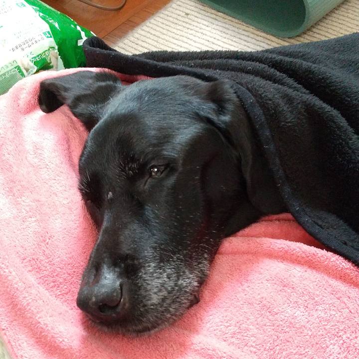 440e188c 348b 4805 88a0 5af97ef8bf76 1708995359166