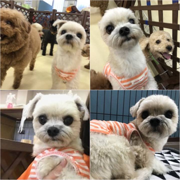 440e2c2e 94c5 422c b4a4 4718fadc9775 1524221851946