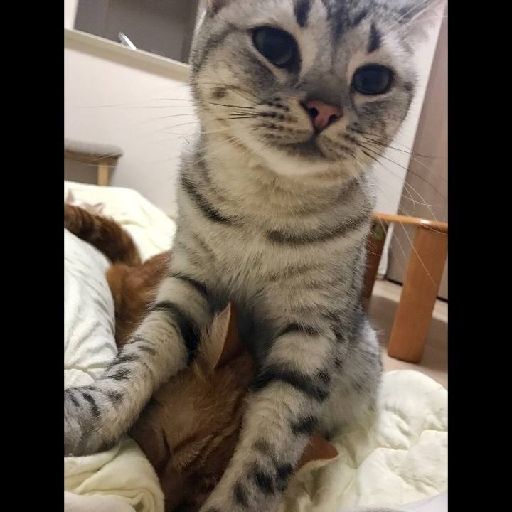 440e6201 01b9 4b3a 9d34 ebe945dd18e4 1509807913986