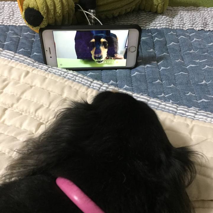 440e7bb0 5d0a 47b6 b0c5 191fa2e165e3 1541504589978