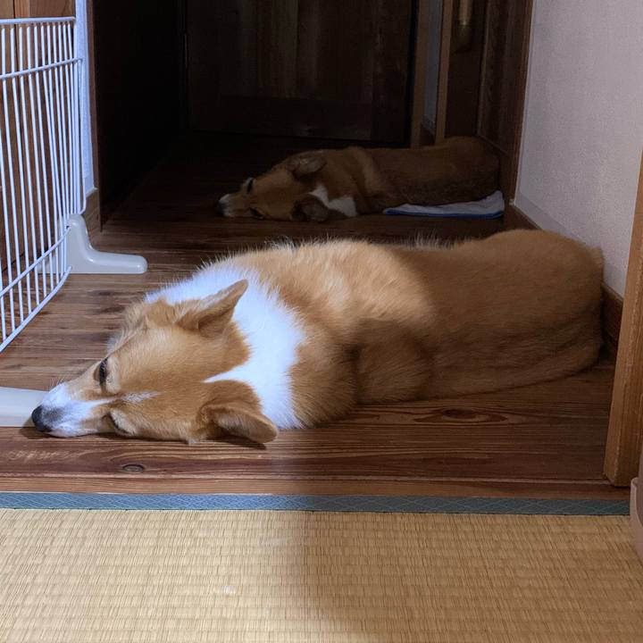 440e8734 adde 4adb a09c 021087a7968e 1629982663899