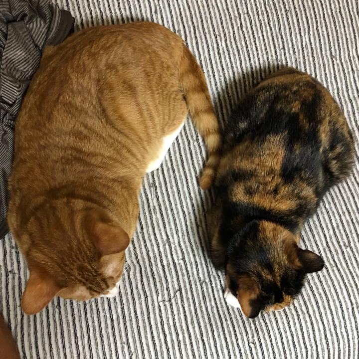 440e9437 861d 4aa9 9407 23538a2ca057 1559303532564