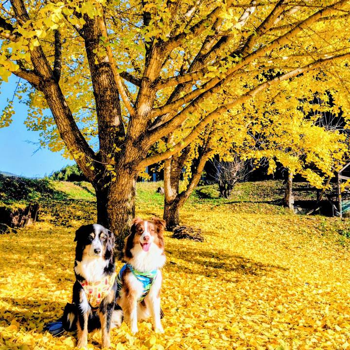 440eaa7f bf45 463c aec2 5cb7c5f68472 1763812918154