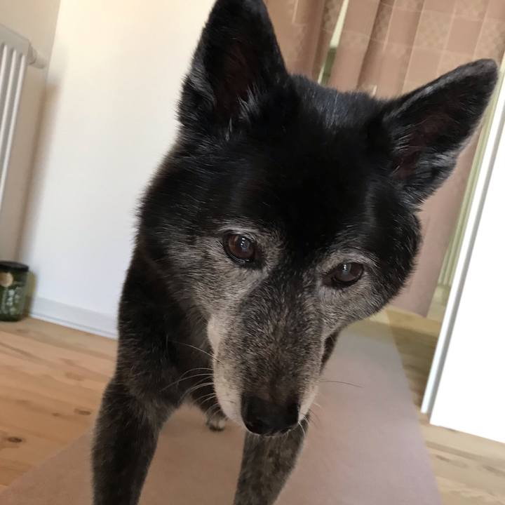 440ece8d cbed 4d43 8c4f 7b1cd30b7ab8 1662163632027