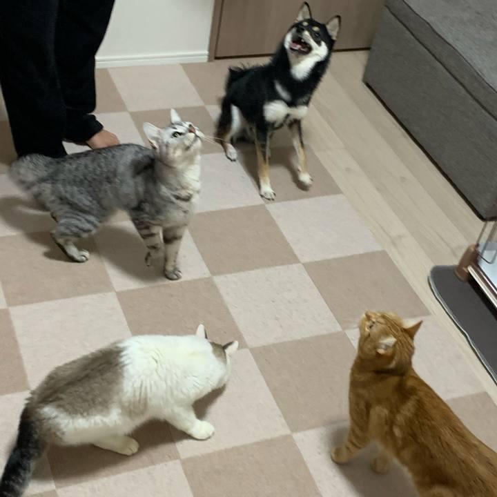 440efd8b 5928 4ba2 88bc d9a57559222f 1577864238079