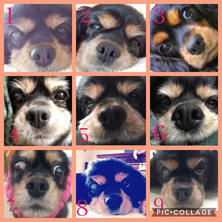 440f0263 62de 4fc6 813e 5483990f2850 1531050899664