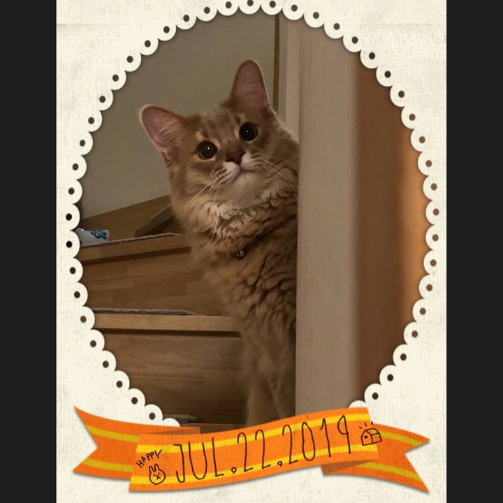 440f3971 1371 414e ba35 f16404a9ea22 1563752631817