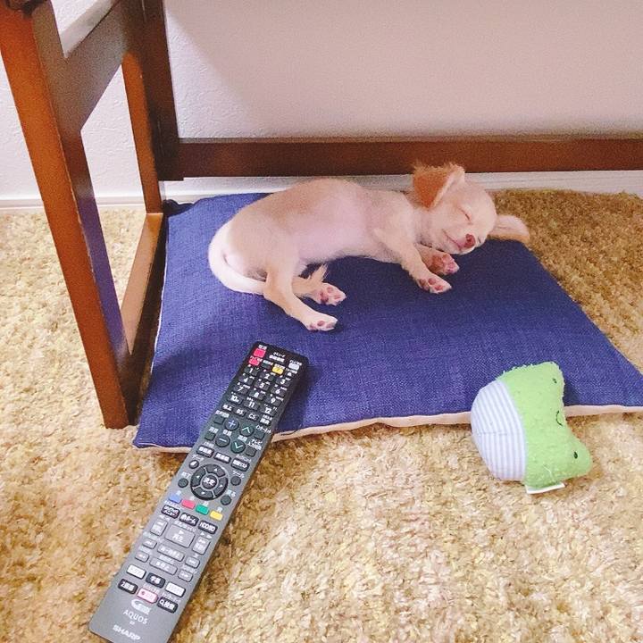 440f3a14 ed4d 4270 8bb9 f1254c4b2d1b 1591243137911