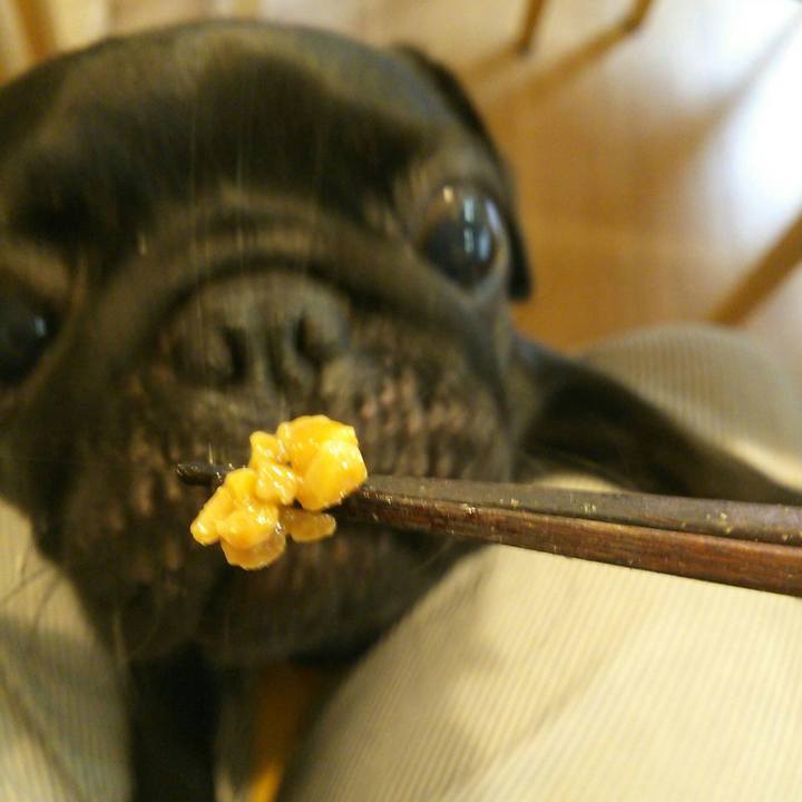 440f5a89 b213 40f7 ab64 8bdd1e611bf7 1535428621700