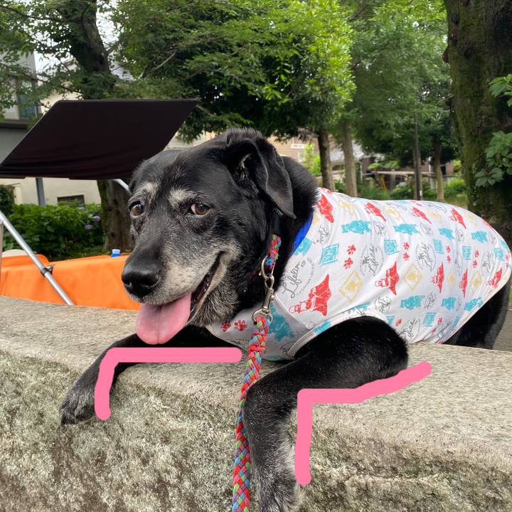 440f6507 9b13 47dd 8014 a66d166c9b58 1687851175928