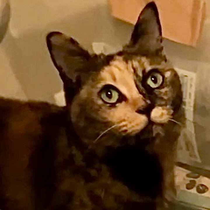 440fbdd0 d2a4 4fea 9df3 ec06499a4e8d 1730830749642