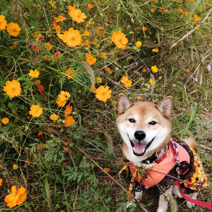 440fee37 2144 4577 83d8 8293064ff472 1666177075430