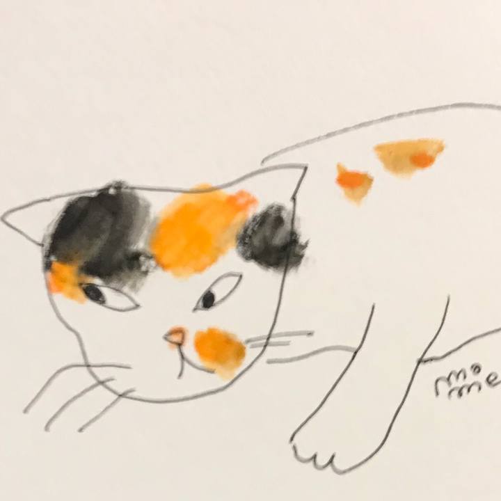 44102d09 2568 4112 a6ba 1338db244f60 1568419451022