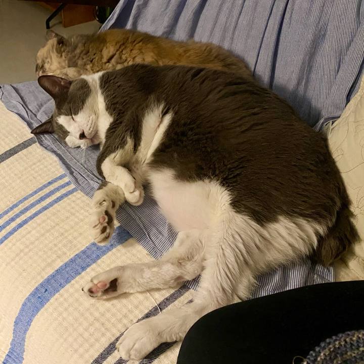 44103114 12be 4361 9491 f22b84af426b 1757253978872