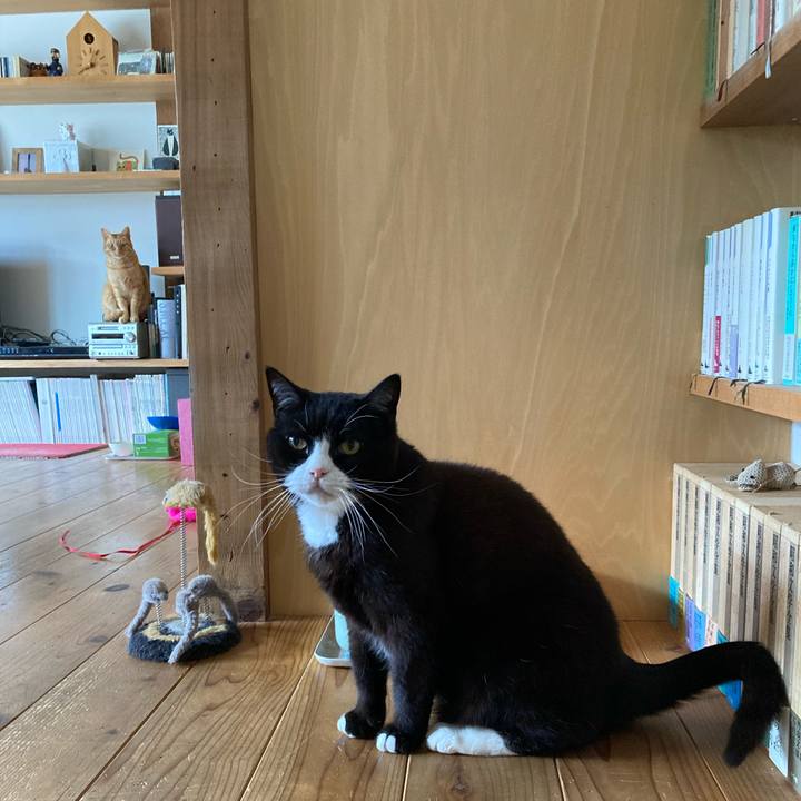 4410376f 5ca4 40b5 9217 111b9ac925c7 1618012631120