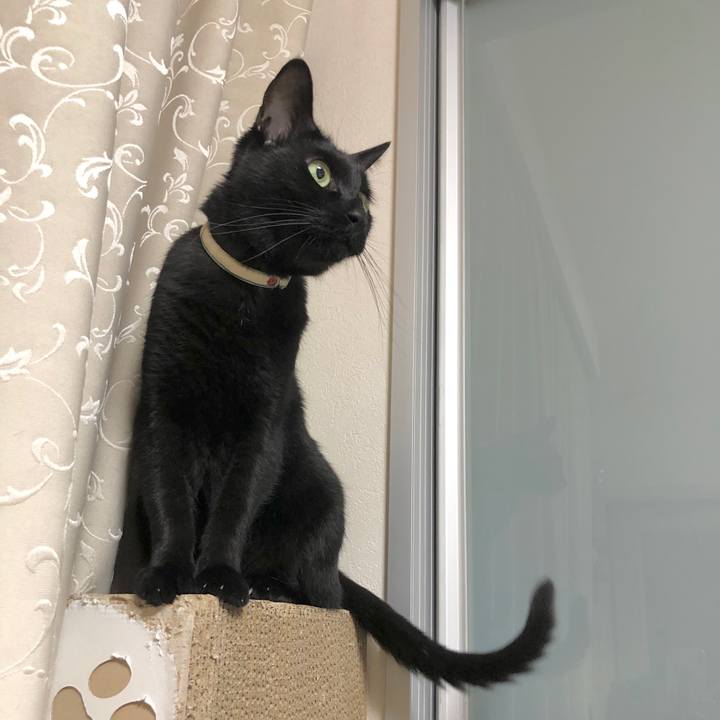 441063f5 1f97 40da 985d 29312e73afe3 1601170597088