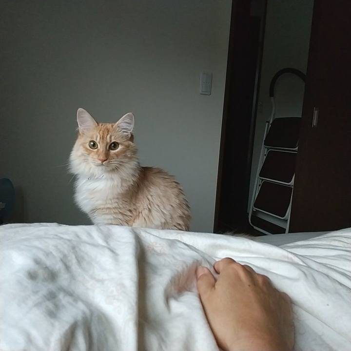 44108569 d53d 440e 9118 438b82c86d09 1622589342477