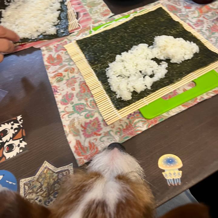 44108d1c 4133 4404 8276 37c9589d696d 1770123820122