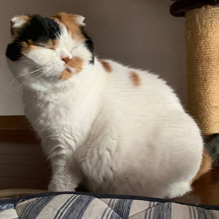 441090f0 a2a0 40a5 b906 03264beb7587 1563920328045