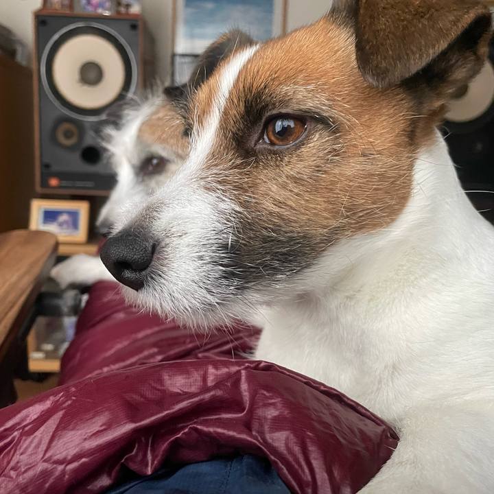 4410bdc3 b581 4c40 983a 331f605bf1b5 1765342690076