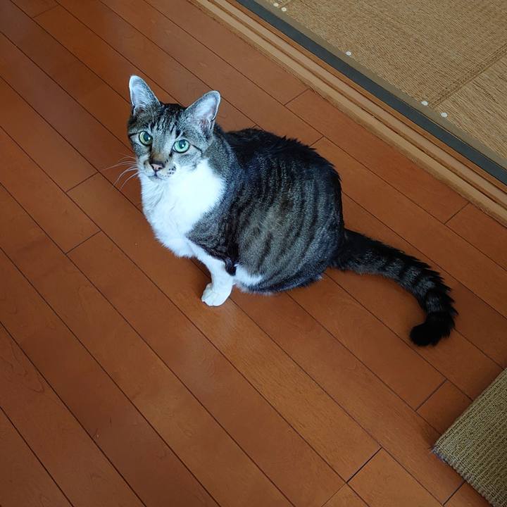 4410c1e8 a2be 4b8e bad0 1f0ccbd6942f 1710406232014