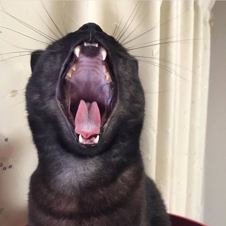 4410f913 ca59 4578 ada2 7ea89e9b3a7c 1577574365282