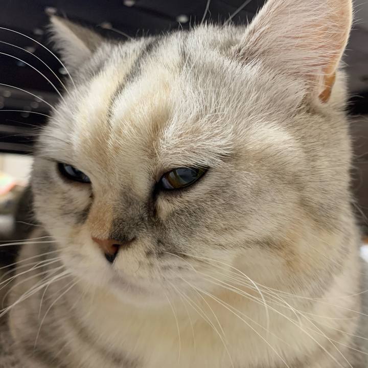 4410fa3e 7b46 4127 b1a6 ccbf24b484a3 1707124517239