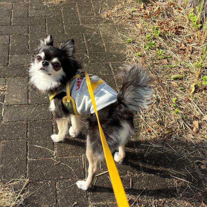 44111033 fcaf 45f7 9292 6464b73897a6 1730045745229