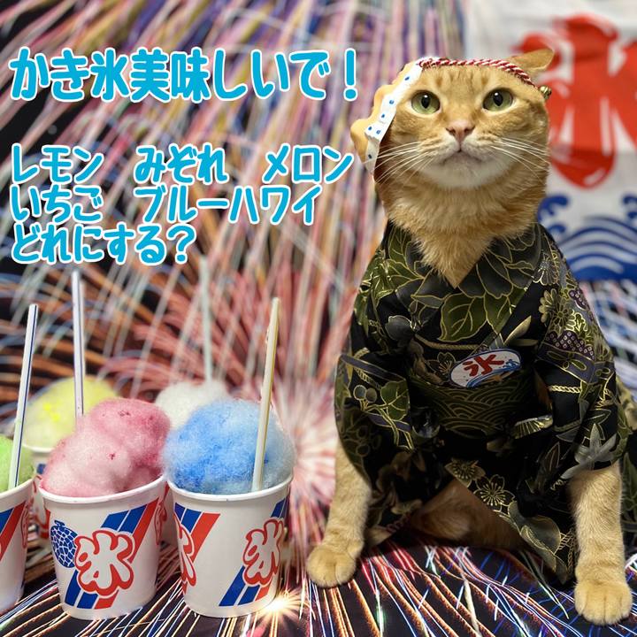 44117d8d f220 453c 9be7 c9d588a35b1a 1693138608763