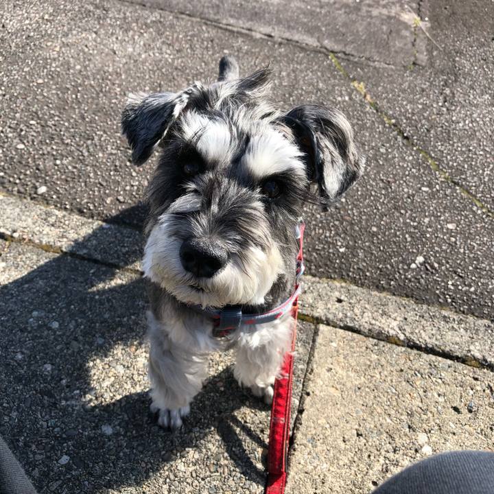 4411924e 9690 401b 959f 4169bbe70a5c 1668833008396