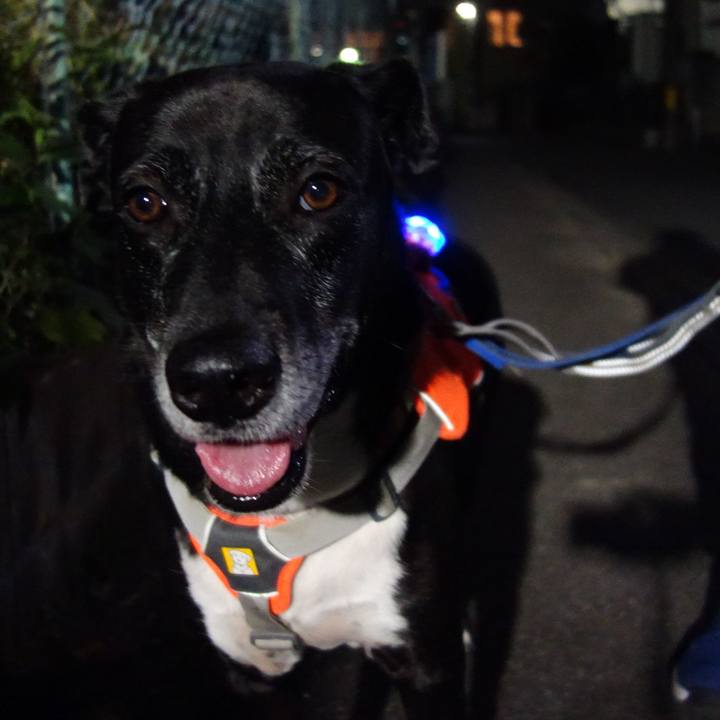 4411be37 7dbc 4ee7 88c4 2475cf39a505 1730457971484