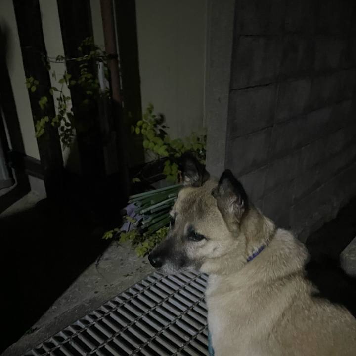 4412246e ceb5 4fb1 a064 76ac887a7832 1701433082088