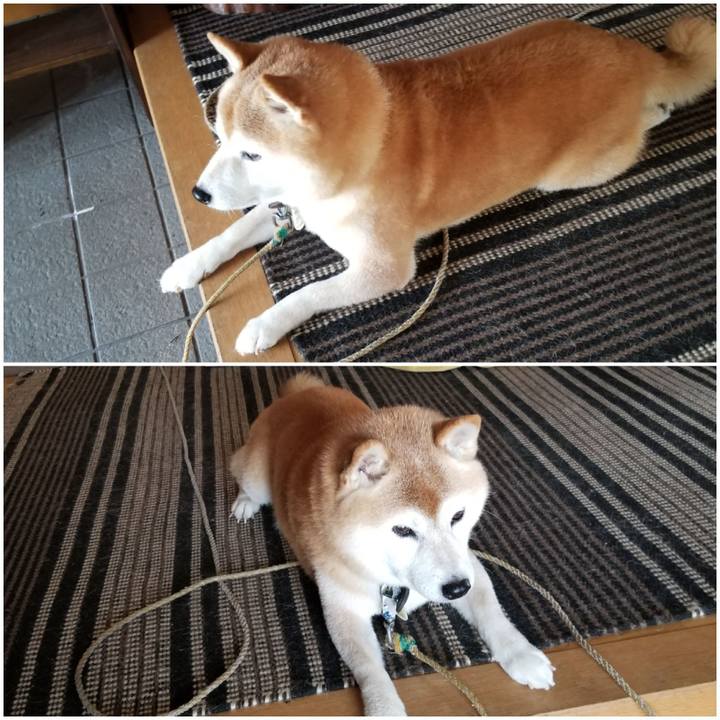 4412589a e8d3 4446 9084 2755b6547b2e 1697075588166