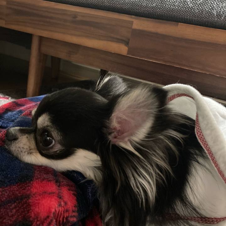 4412bae1 842b 470e 9066 bed4e6735cb2 1610808320305