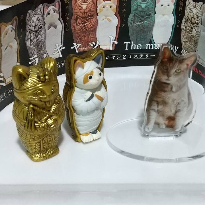 44135cf3 1a4c 4d35 97dc 60b661b030a2 1729506826380