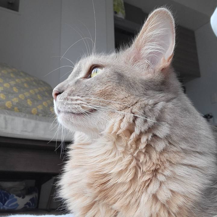 4413d22f 6cb3 423f b918 dc136254672b 1653967708696