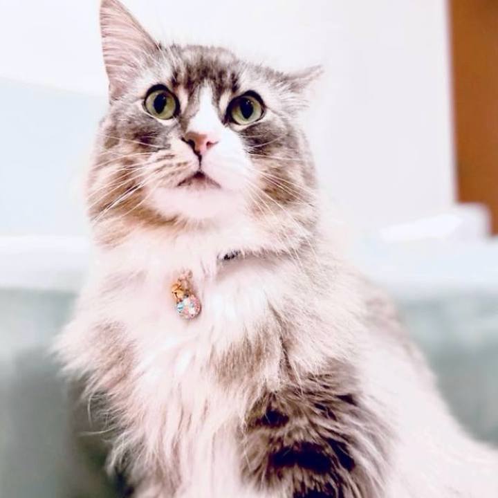 4413db6f 3c6c 4587 9e3f 6f32ae0b2c9c 1750347310782