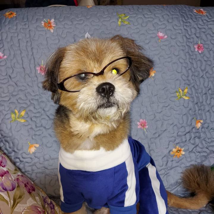 4413ea58 0517 488b a6ca 7929571602f7 1644577128401