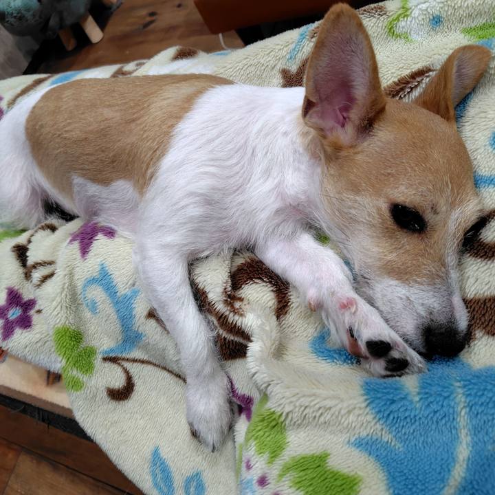 44141d8e 714b 4c97 9194 da065ecfee7e 1728654397762