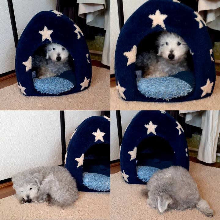 44142218 53a9 4ebb 9723 0c7f3ab36a4a 1650536352361