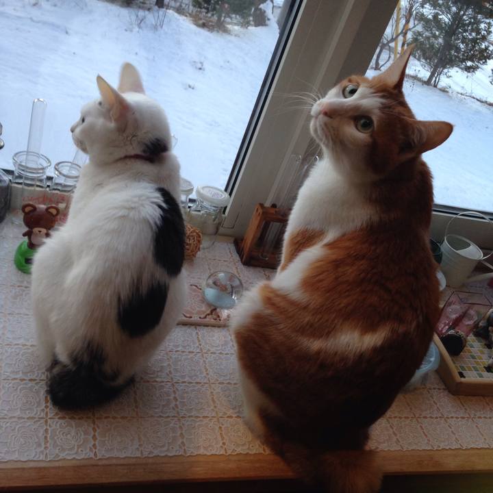 44143124 2e7a 46ff 8597 be9e6eeff7be 1511213659624