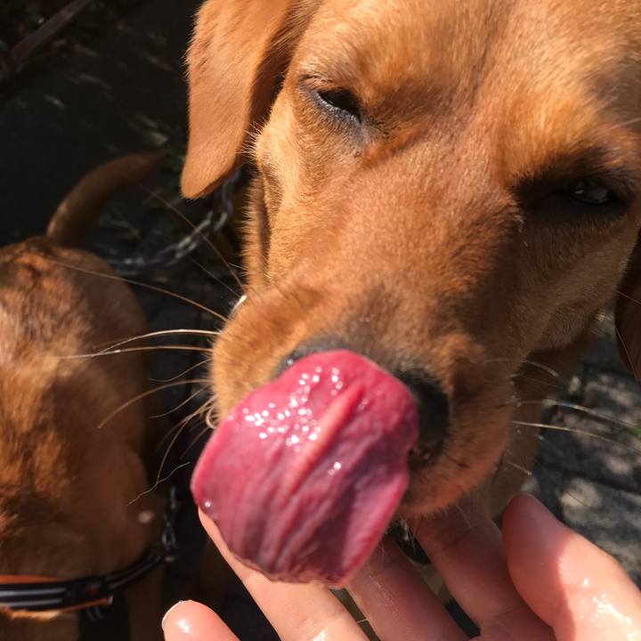 44143bd6 34ab 4b17 aa38 e9b9850dfe07 1522283683817