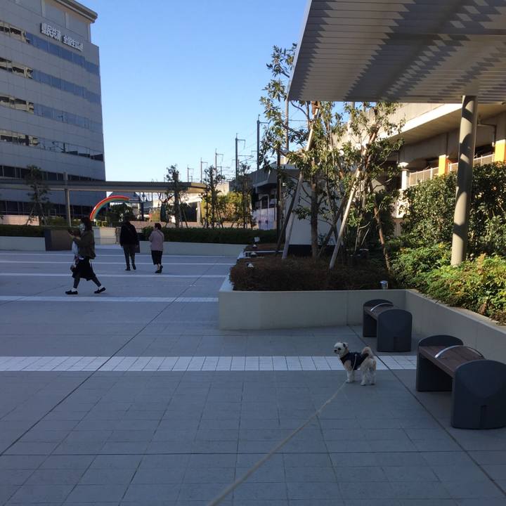 44144260 e8f7 4207 8e15 fa6b76bb4297 1552031270166