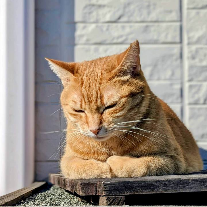 441481f1 3354 462f 8570 866543f4d372 1767517053912