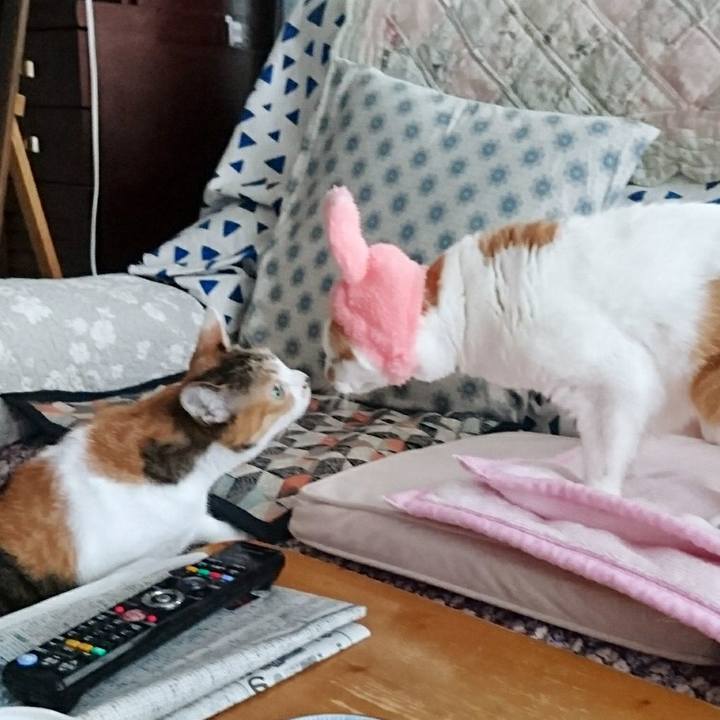 4414b6eb 3979 4563 ae28 36550410739e 1514865883672