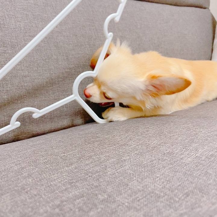 4414d98d 3f8e 4c7d b66a ec8cc07f3f6a 1633081755423